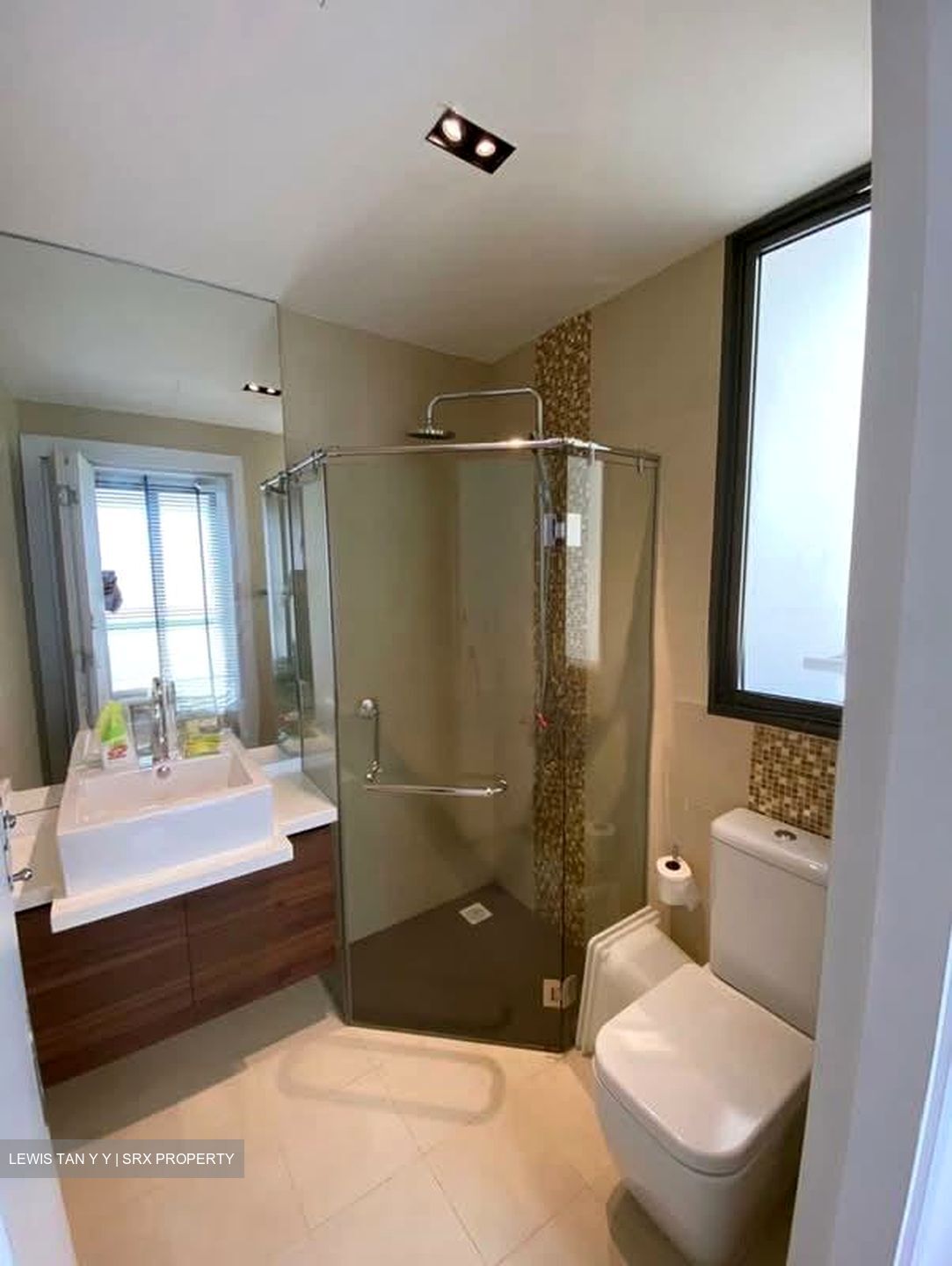 Parc Bleu (D15), Apartment #558289731